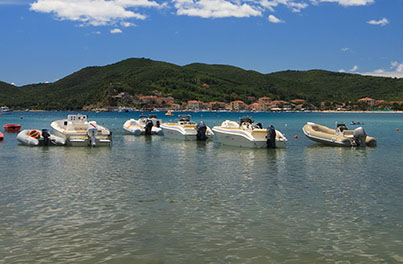 Campo boe Isola d'Elba